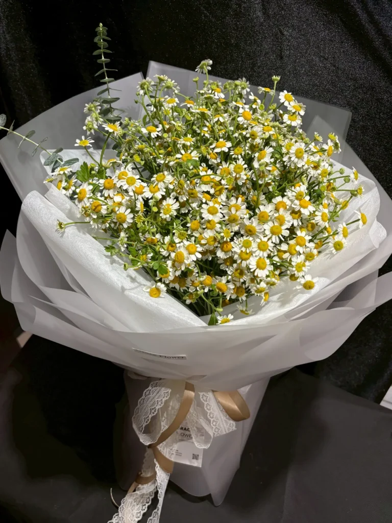 ช่อดอกไม้สด Grand Daisy
