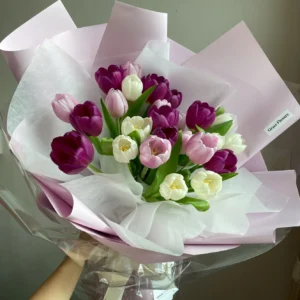 ช่อดอกทิวลิปสด Tulip Velvet - Image 1