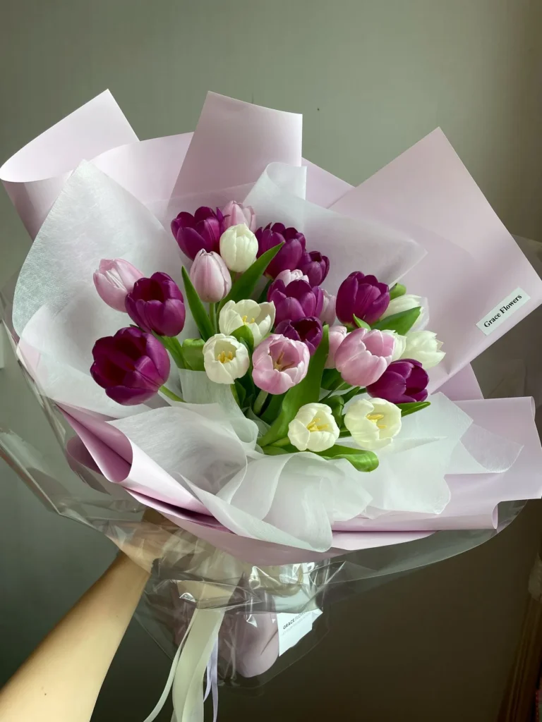 ช่อดอกทิวลิปสด Tulip Velvet