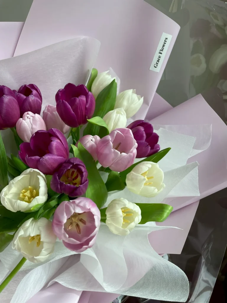 ช่อดอกทิวลิปสด Tulip Velvet