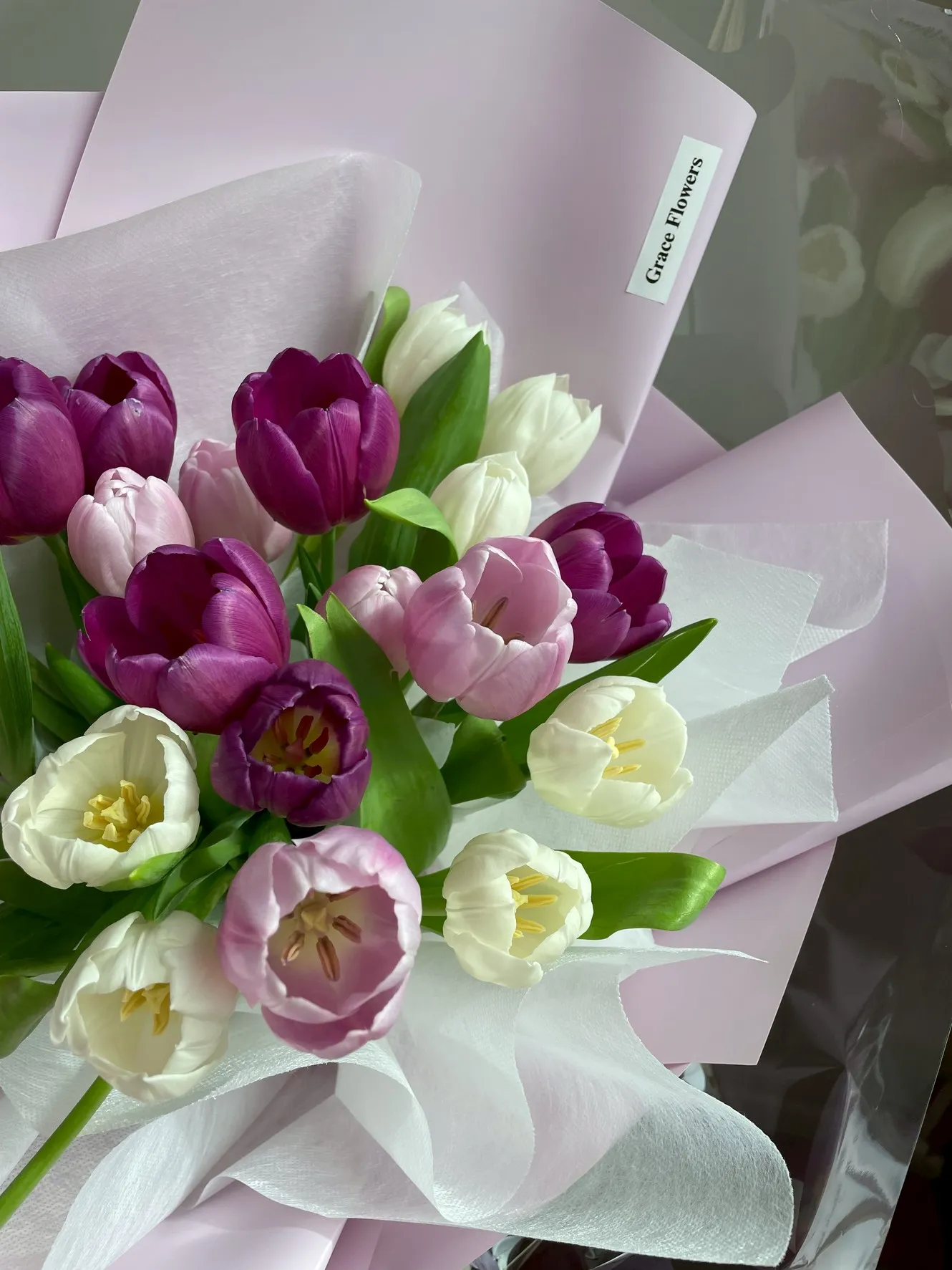 ช่อดอกทิวลิปสด Tulip Velvet - Image 2