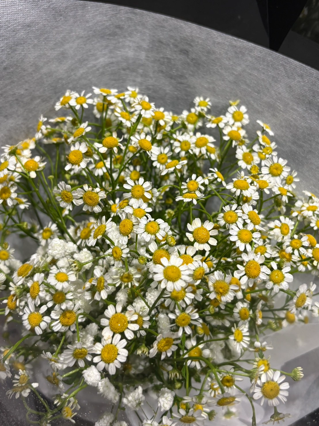 ช่อดอกไม้สด Mini daisy - Image 2