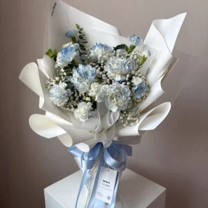 ช่อดอกไม้สดคาเนชั่น Cloudy Bloom - Image 1
