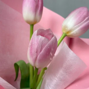 ช่อดอกทิวลิปสด Pink Cherie - Image 5