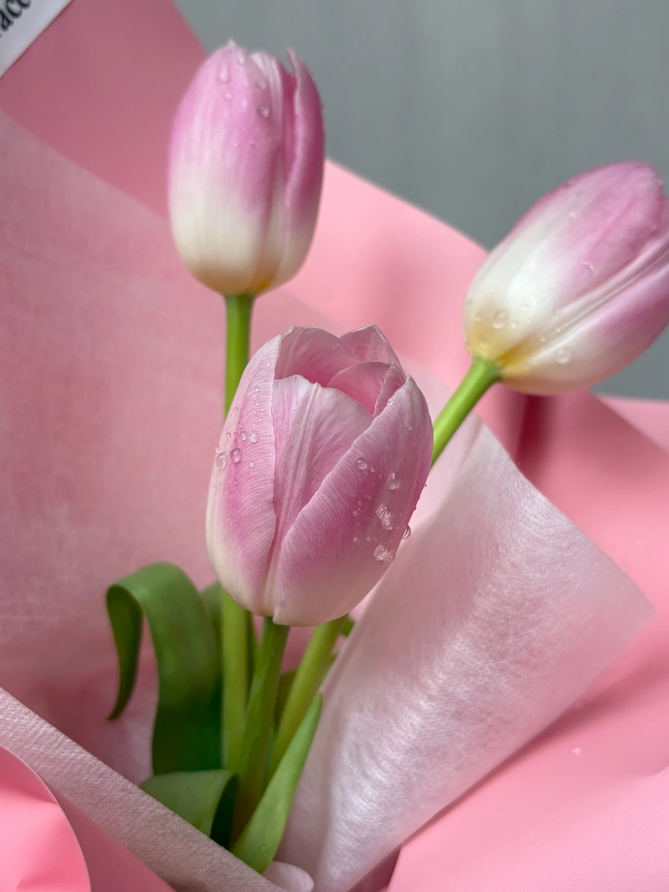 ช่อดอกทิวลิปสด Pink Cherie - Image 5