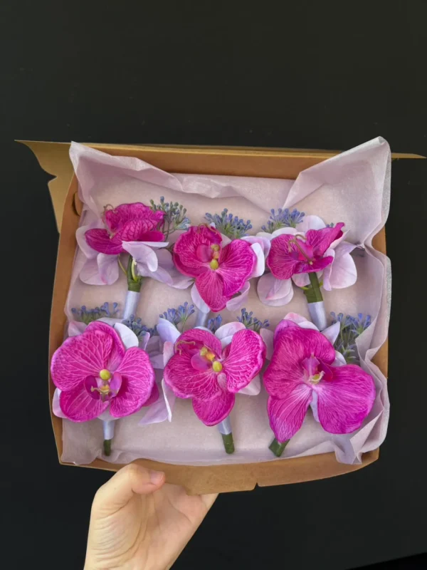 เข็มกลัดดอกกล้วยไม้ฟาแลน Purple Velour