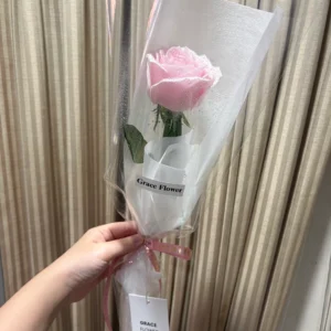 (Pink rose) กุหลาบชมพู 1 ดอก ห่อกรวยใส - Image 2