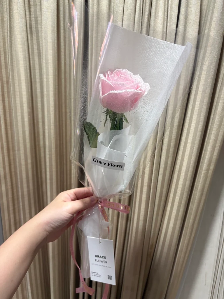 (Pink rose) กุหลาบชมพู 1 ดอก ห่อกรวยใส