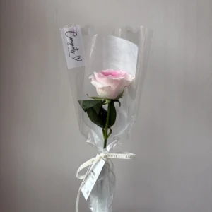(Pink rose) กุหลาบชมพู 1 ดอก ห่อกรวยใส - Image 1