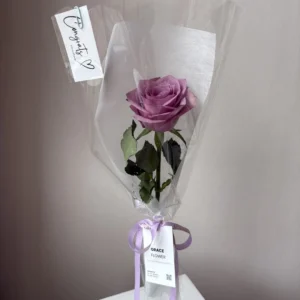 (Purple rose) กุหลาบม่วง 1 ดอก ห่อกรวยใส - Image 1