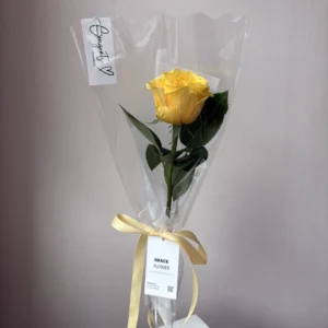 (Yellow rose) กุหลาบเหลือง 1 ดอก ห่อกรวยใส - Image 1