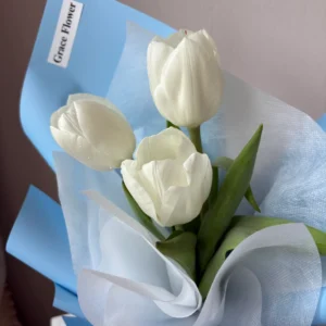 ช่อดอกทิวลิปสด blue Cherie - Image 2